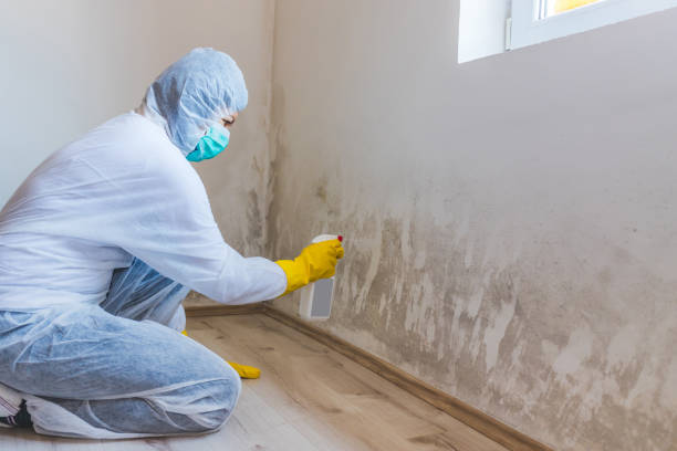 Licensed Commercial Mold Remediation service in Herndon, PA - WQB Mold Removal
