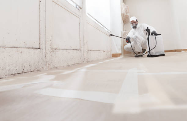 24/7 Emergency Commercial Mold Remediation experts in Herndon, PA