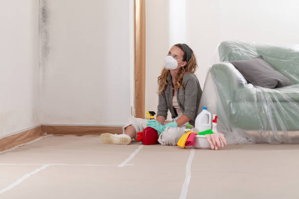 Reliable Commercial Mold Remediation contractor in Herndon, PA by WQB Mold Removal