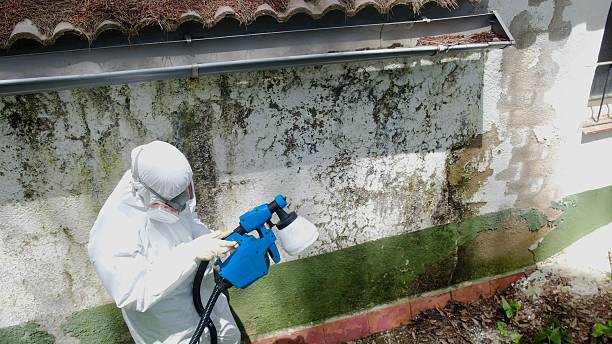 Top rated local Commercial Mold Remediation specialists in Herndon, PA
